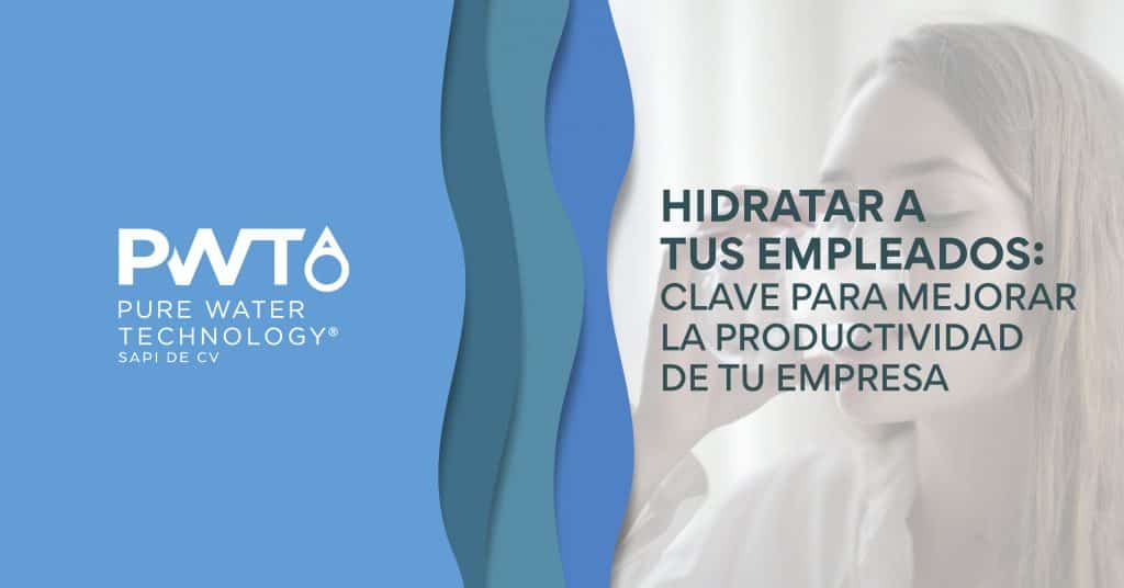 Hidratar a tus empleados: Clave para mejorar la productividad de tu empresa.